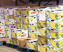 Boxes of food at a food bank/pantry